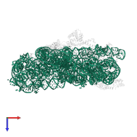 16S ribosomal RNA in PDB entry 4ji3, assembly 1, top view.