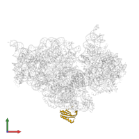 Small ribosomal subunit protein bS6 in PDB entry 4ji3, assembly 1, front view.