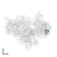 Small ribosomal subunit protein uS9 in PDB entry 4ji3, assembly 1, front view.