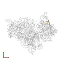 Small ribosomal subunit protein uS19 in PDB entry 4ji5, assembly 1, front view.