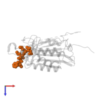 Caspase inhibitor in PDB entry 4jje, assembly 1, top view.