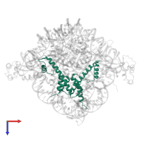 Histone H3 in PDB entry 4jjn, assembly 1, top view.