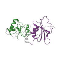 The deposited structure of PDB entry 4jlu contains 2 copies of Pfam domain PF00533 (BRCA1 C Terminus (BRCT) domain) in Breast cancer type 1 susceptibility protein. Showing 2 copies in chain A.