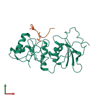 PDB entry 4jlu coloured by chain, front view.