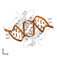 5'-R(P*GP*CP*UP*GP*CP*UP*GP*CP*UP*GP*CP*UP*GP*CP*UP*GP*CP*UP*GP*C)-3' in PDB entry 4jnx, assembly 1, front view.