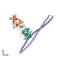 PDB entry 4jpb coloured by chain, front view.