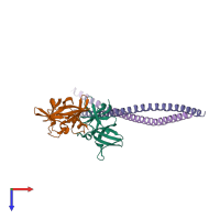 PDB entry 4jpb coloured by chain, top view.