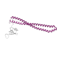 The deposited structure of PDB entry 4jps contains 1 copy of Pfam domain PF16454 (Phosphatidylinositol 3-kinase regulatory subunit P85 inter-SH2 domain) in Phosphatidylinositol 3-kinase regulatory subunit alpha. Showing 1 copy in chain B.