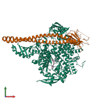 PDB entry 4jps coloured by chain, front view.