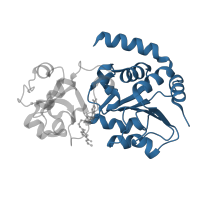 The deposited structure of PDB entry 4jsr contains 1 copy of CATH domain 3.40.50.1220 (Rossmann fold) in NAD-dependent protein deacetylase sirtuin-3, mitochondrial. Showing 1 copy in chain A.