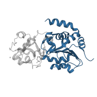 The deposited structure of PDB entry 4jt9 contains 1 copy of CATH domain 3.40.50.1220 (Rossmann fold) in NAD-dependent protein deacetylase sirtuin-3, mitochondrial. Showing 1 copy in chain A.