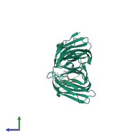 Homo tetrameric assembly 2 of PDB entry 4jut coloured by chemically distinct molecules, side view.