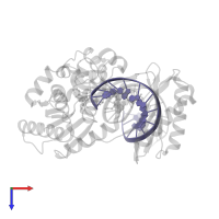 DNA (5'-D(*GP*GP*GP*GP*GP*AP*AP*GP*GP*AP*TP*TP*CP*C)-3') in PDB entry 4juz, assembly 1, top view.