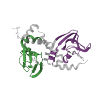 The deposited structure of PDB entry 4jv4 contains 2 copies of Pfam domain PF00027 (Cyclic nucleotide-binding domain) in cAMP-dependent protein kinase type I-alpha regulatory subunit, N-terminally processed. Showing 2 copies in chain A.