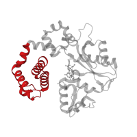 The deposited structure of PDB entry 4jwm contains 1 copy of CATH domain 1.10.150.110 (DNA polymerase; domain 1) in DNA polymerase beta. Showing 1 copy in chain A.