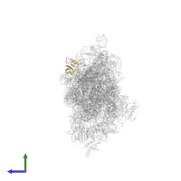 Small ribosomal subunit protein uS19 in PDB entry 4jya, assembly 1, side view.