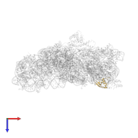 Small ribosomal subunit protein uS19 in PDB entry 4jya, assembly 1, top view.