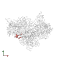 Small ribosomal subunit protein uS17 in PDB entry 4k0k, assembly 1, front view.