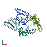 PDB entry 4k2p coloured by chain, front view.