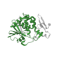 The deposited structure of PDB entry 4k2z contains 1 copy of Pfam domain PF00161 (Ribosome inactivating protein) in rRNA N-glycosylase. Showing 1 copy in chain A.