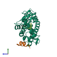 PDB entry 4k4j coloured by chain, side view.