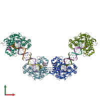 PDB entry 4k4x coloured by chain, front view.
