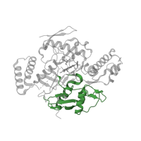 The deposited structure of PDB entry 4k5d contains 2 copies of CATH domain 3.90.440.10 (Nitric Oxide Synthase;Heme Domain; Chain A, domain 2) in Nitric oxide synthase 1. Showing 1 copy in chain B.