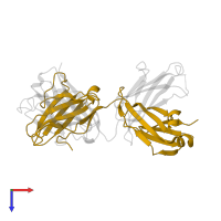 Fab3H42, light chain in PDB entry 4k8r, assembly 3, top view.