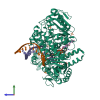 PDB entry 4k8x coloured by chain, side view.