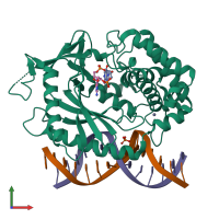 PDB entry 4k9b coloured by chain, front view.