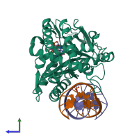 PDB entry 4k9b coloured by chain, side view.