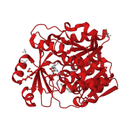 The deposited structure of PDB entry 4k9i contains 2 copies of CATH domain 3.40.1190.20 (UDP-N-acetylmuramoyl-L-alanine:D-glutamate ligase) in Carbohydrate kinase PfkB domain-containing protein. Showing 1 copy in chain A.