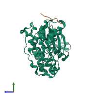 PDB entry 4ka3 coloured by chain, side view.