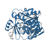 The deposited structure of PDB entry 4kal contains 2 copies of Pfam domain PF00294 (pfkB family carbohydrate kinase) in Carbohydrate kinase PfkB domain-containing protein. Showing 1 copy in chain A.