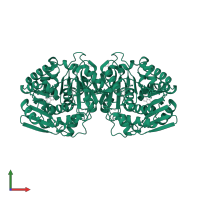 Carbohydrate kinase PfkB domain-containing protein in PDB entry 4kal, assembly 1, front view.