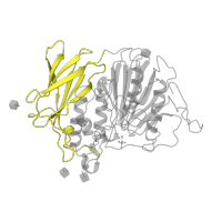 The deposited structure of PDB entry 4kbp contains 4 copies of SCOP domain 49364 (Purple acid phosphatase, N-terminal domain) in Fe(3+)-Zn(2+) purple acid phosphatase. Showing 1 copy in chain A.