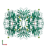 Homo tetrameric assembly 5 of PDB entry 4kbp coloured by chemically distinct molecules, front view.