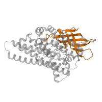 The deposited structure of PDB entry 4kcf contains 1 copy of Pfam domain PF02770 (Acyl-CoA dehydrogenase, middle domain) in FAD-dependent oxidoreductase. Showing 1 copy in chain A.