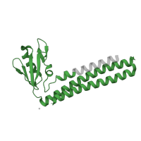 The deposited structure of PDB entry 4kdd contains 1 copy of Pfam domain PF01765 (Ribosome recycling factor) in Ribosome-recycling factor. Showing 1 copy in chain A.