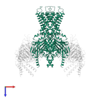 G protein-activated inward rectifier potassium channel 2 in PDB entry 4kfm, assembly 1, top view.