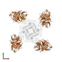 Guanine nucleotide-binding protein G(I)/G(S)/G(T) subunit beta-1 in PDB entry 4kfm, assembly 1, front view.