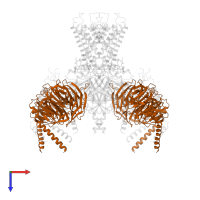 Guanine nucleotide-binding protein G(I)/G(S)/G(T) subunit beta-1 in PDB entry 4kfm, assembly 1, top view.