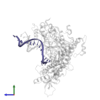 DNA/RNA (5'-D(*AP*C)-R(P*A)-D(P*GP*GP*TP*AP*AP*GP*CP*AP*GP*TP*CP*CP*GP*CP*G)-3') in PDB entry 4khs, assembly 1, side view.