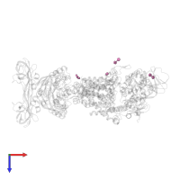 UNDECYL-MALTOSIDE in PDB entry 4ki0, assembly 1, top view.