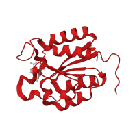 The deposited structure of PDB entry 4ki7 contains 24 copies of CATH domain 3.40.50.9100 (Rossmann fold) in 3-dehydroquinate dehydratase. Showing 1 copy in chain X.