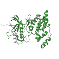 The deposited structure of PDB entry 4kkg contains 1 copy of Pfam domain PF00069 (Protein kinase domain) in Mitogen-activated protein kinase 10. Showing 1 copy in chain A.