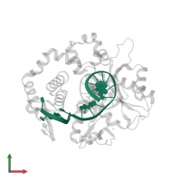 5'-D(*CP*CP*GP*AP*CP*GP*GP*CP*GP*CP*AP*TP*CP*AP*GP*C)-3' in PDB entry 4kld, assembly 1, front view.