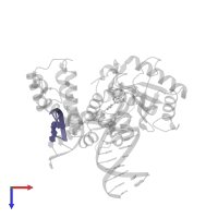 5'-D(P*GP*TP*CP*GP*G)-3' in PDB entry 4kld, assembly 1, top view.
