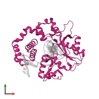DNA polymerase beta in PDB entry 4kld, assembly 1, front view.