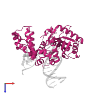 DNA polymerase beta in PDB entry 4kld, assembly 1, top view.